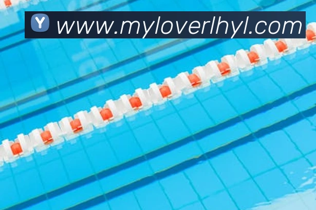 买球官方平台生态图