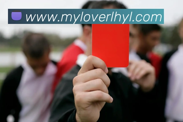 买球官方APP 封面图